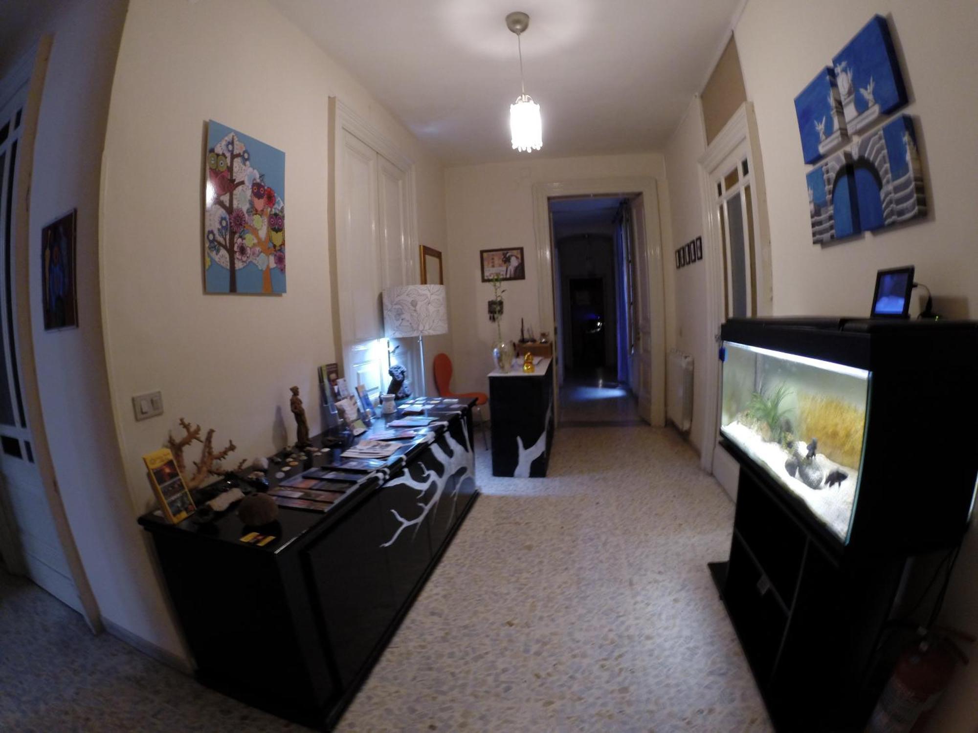 Bed & Breakfast Aloi Catania